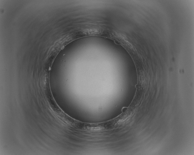 X0000070370645200606231648