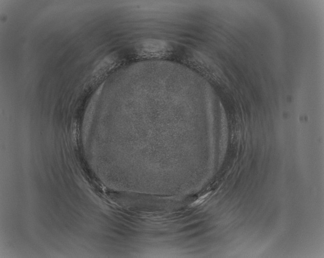 X0000070370647200606231648