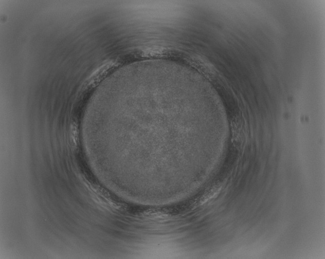 X0000070370648200606231648