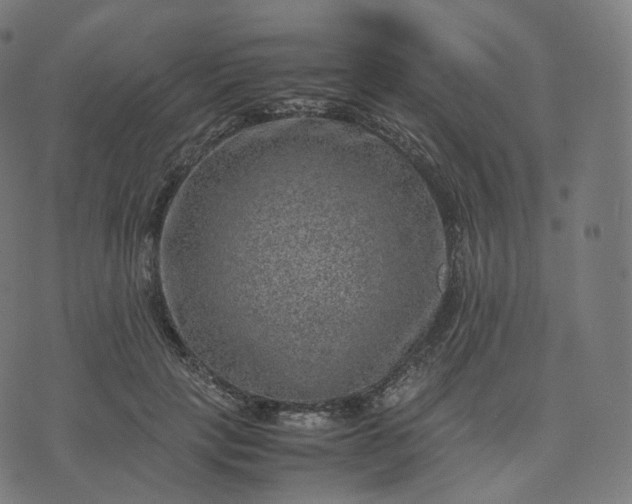 X0000070370649200606231648