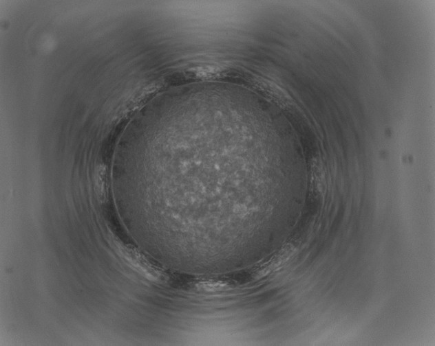 X0000070370650200606231648