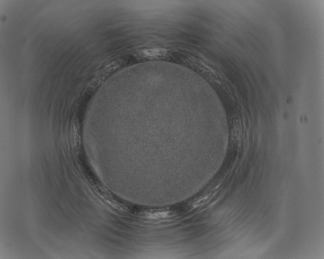 X0000070370651200606231648