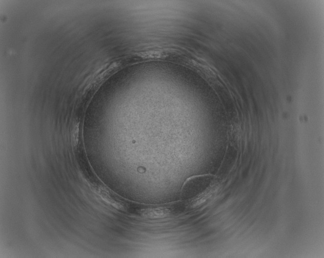 X0000070370652200606231648