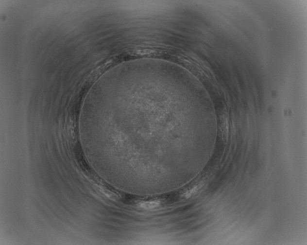 X0000070370653200606231648