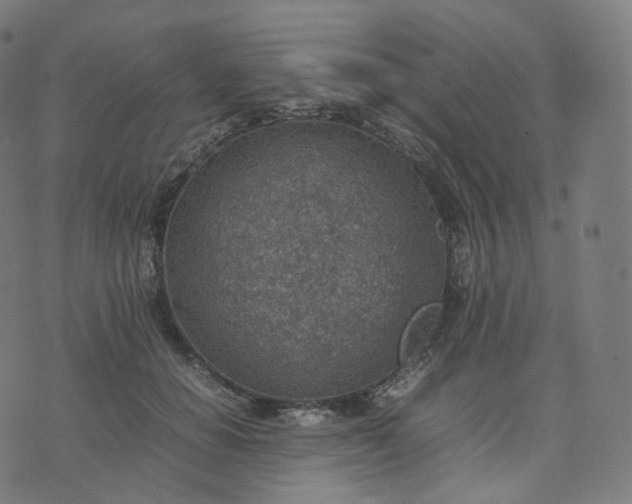 X0000070370654200606231648