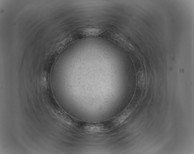 X0000070370655200606231648