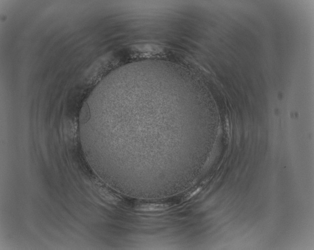 X0000070370657200606231648