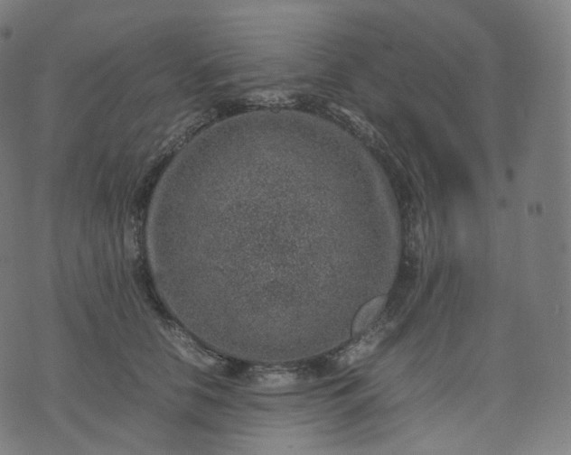 X0000070370658200606231648