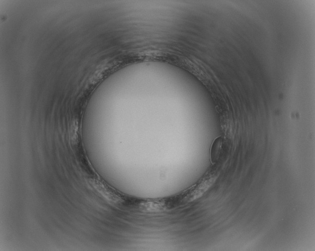 X0000070370660200606231648