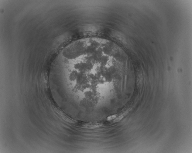 X0000070370661200606231648