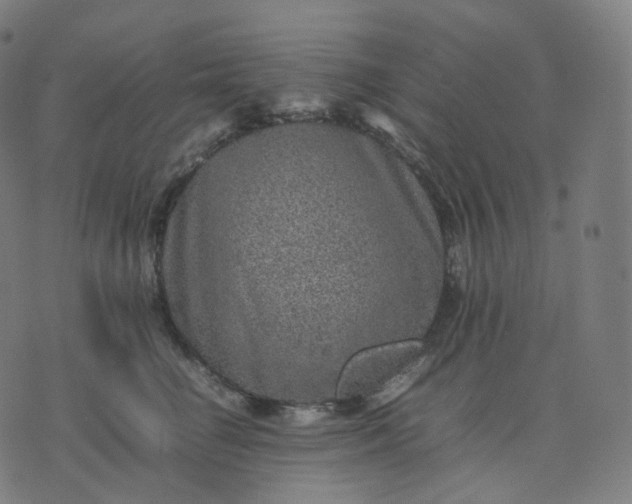 X0000070370662200606231648