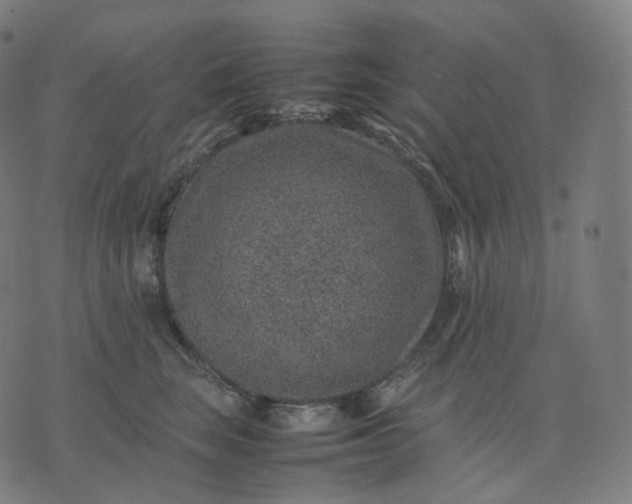 X0000070370663200606231648