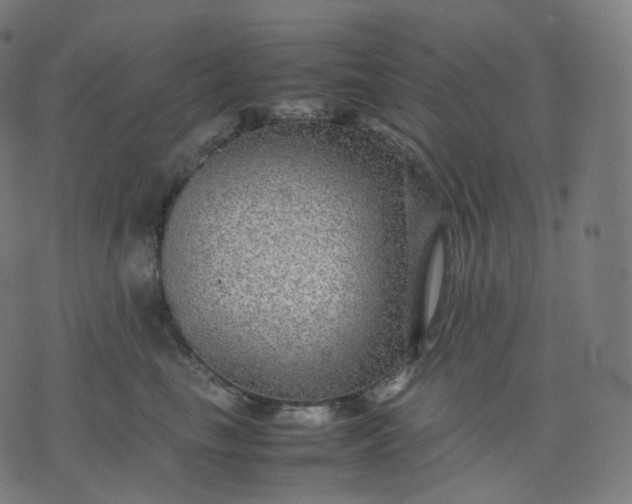 X0000070370665200606231649