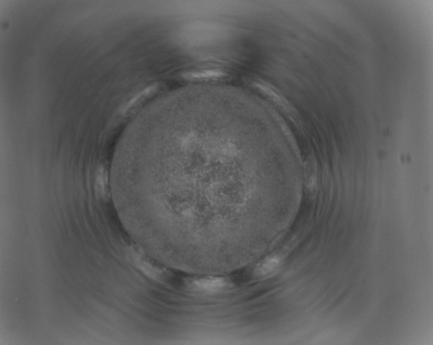 X0000070370669200606231649