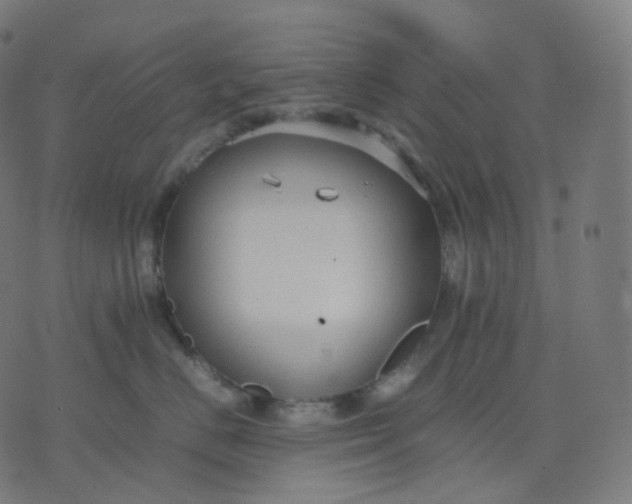 X0000070370670200606231649