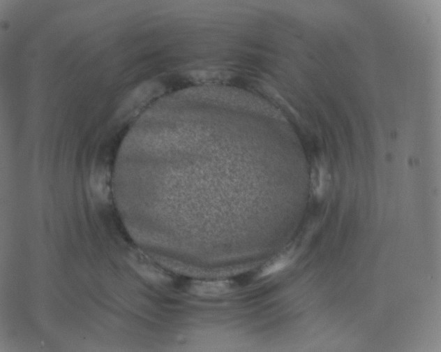 X0000070370671200606231649