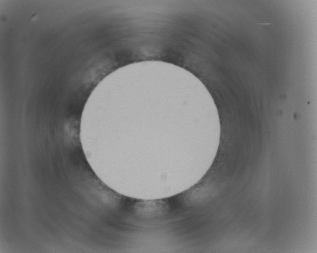 X0000070370672200606231649