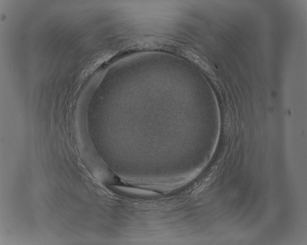 X0000070370673200606231648