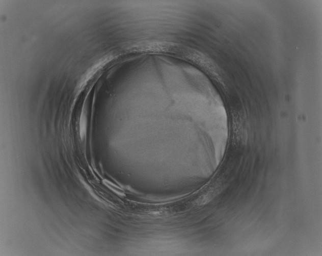 X0000070370674200606231648