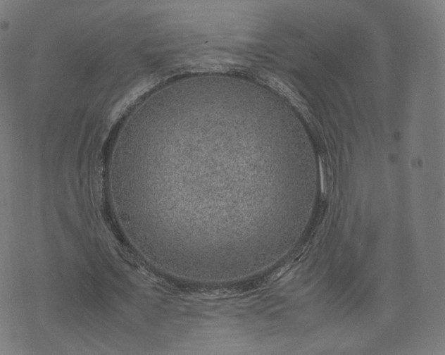 X0000070370675200606231648