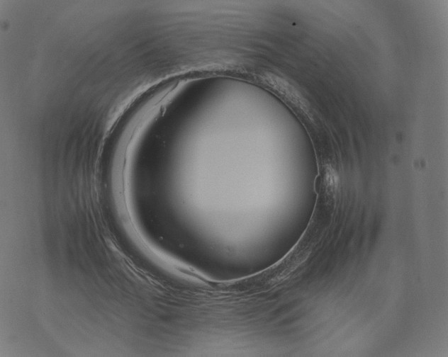 X0000070370676200606231648