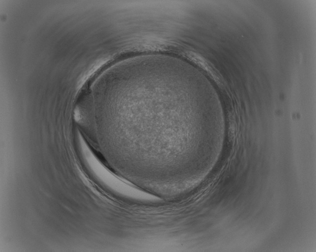 X0000070370677200606231648