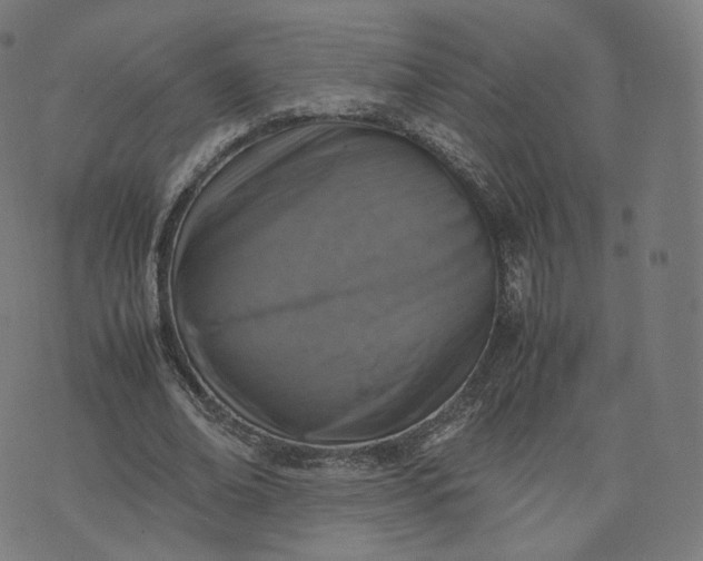 X0000070370678200606231648