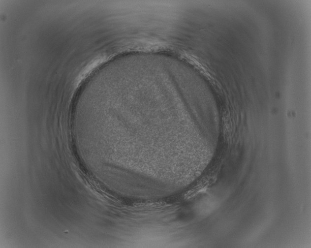 X0000070370679200606231648