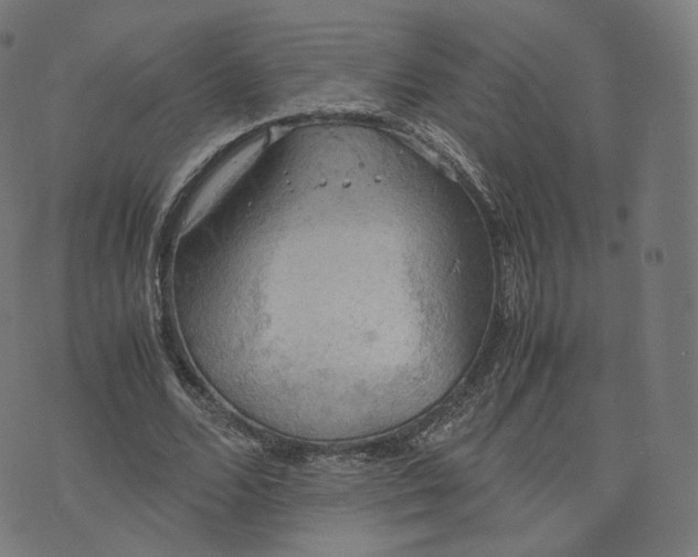 X0000070370680200606231648