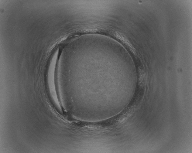 X0000070370681200606231648