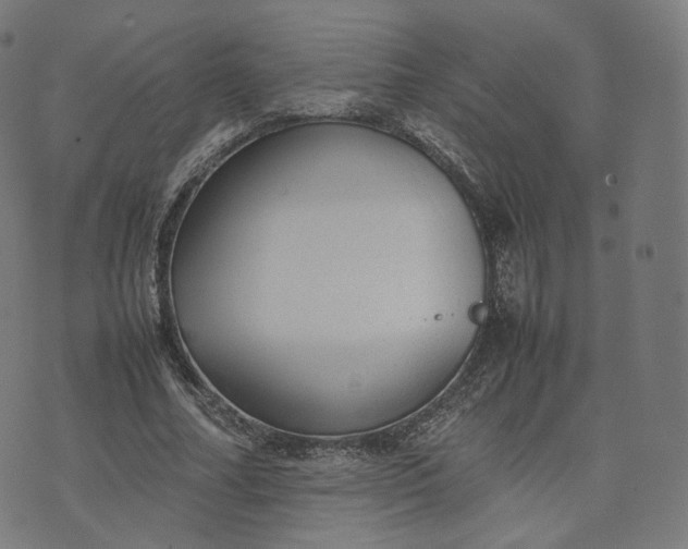 X0000070370682200606231648