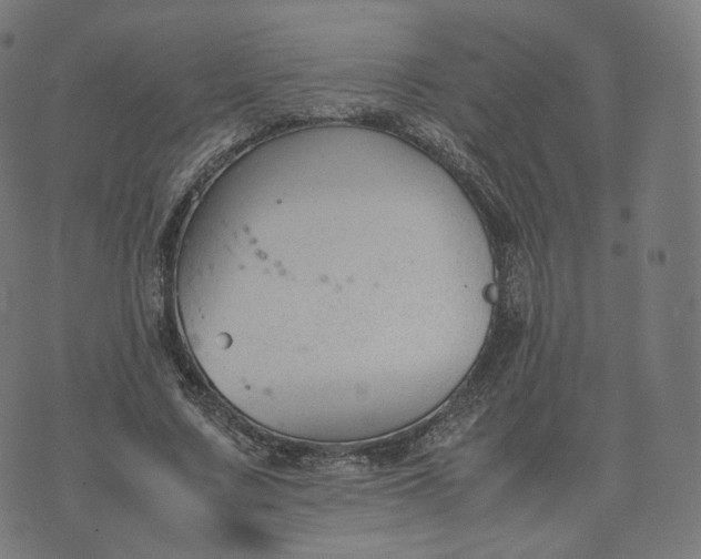 X0000070370683200606231648