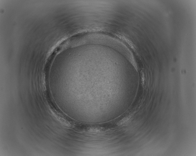 X0000070370684200606231648