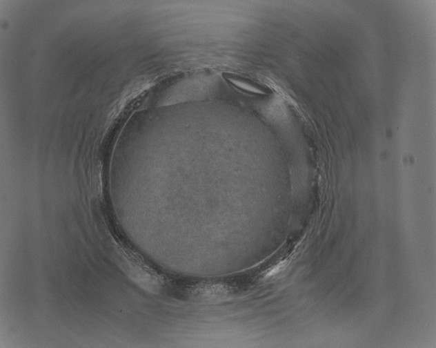 X0000070370685200606231648