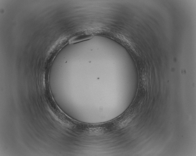 X0000070370686200606231648