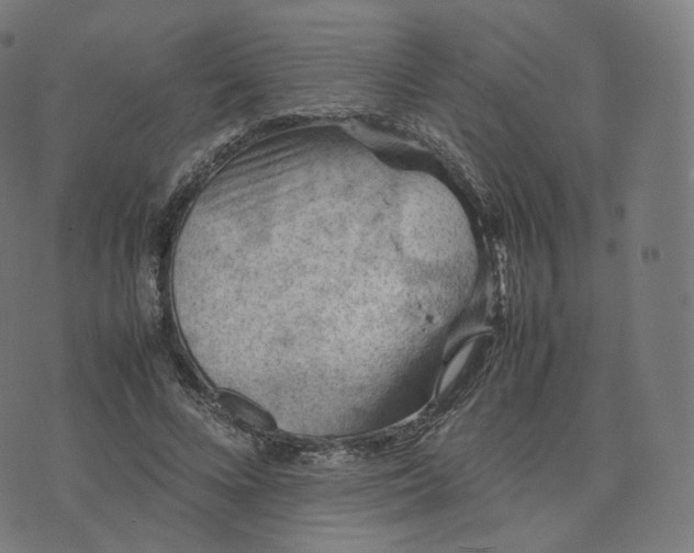 X0000070370688200606231648