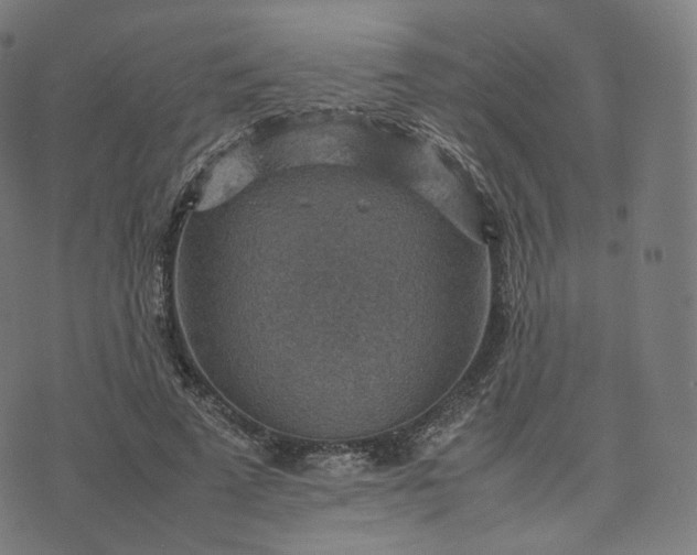 X0000070370689200606231648