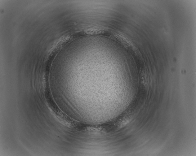 X0000070370690200606231648