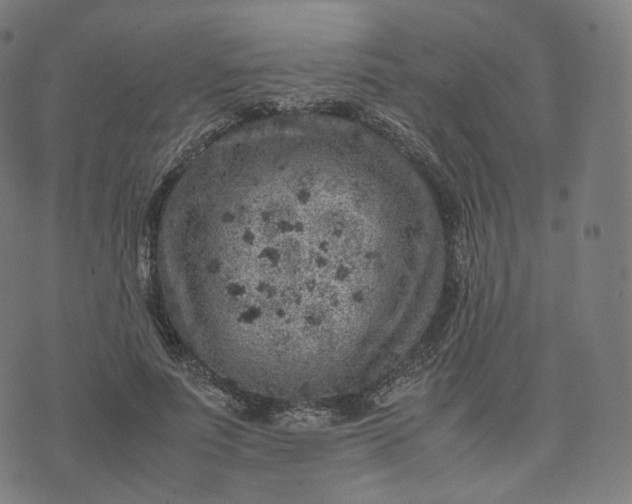 X0000070370691200606231648