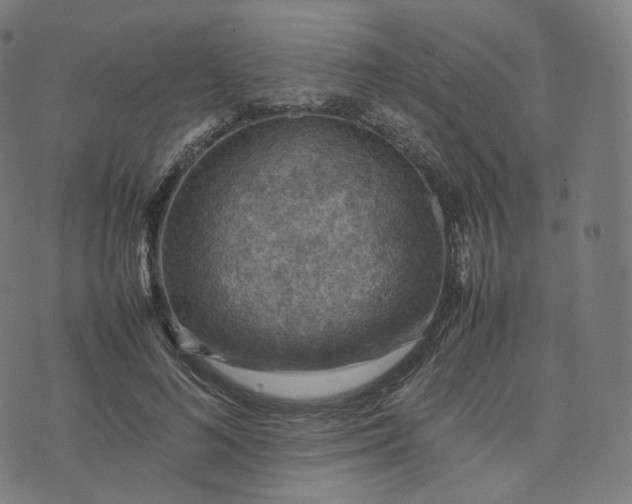 X0000070370692200606231648