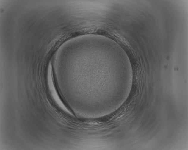 X0000070370693200606231648