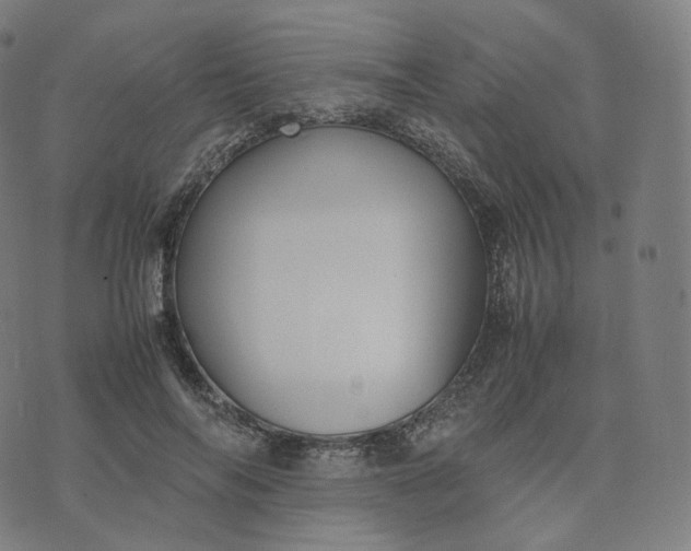 X0000070370694200606231648