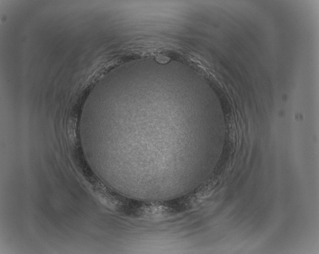 X0000070370695200606231648