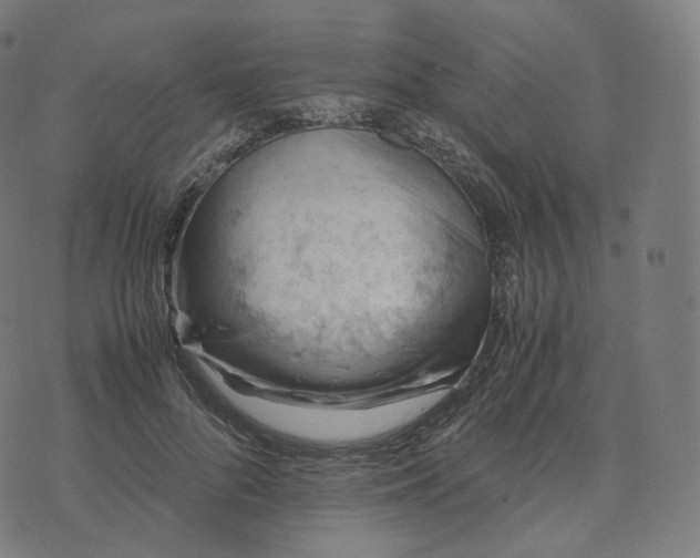 X0000070370696200606231647