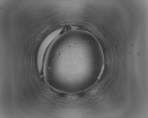 X0000070370697200606231647