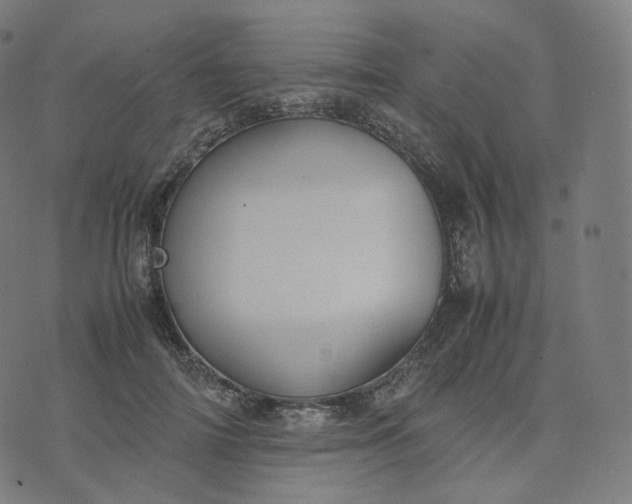 X0000070370698200606231647