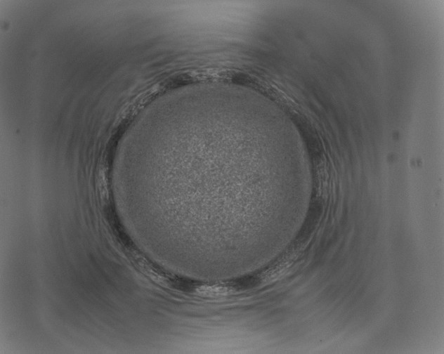 X0000070370699200606231647