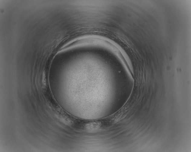 X0000070370700200606231647