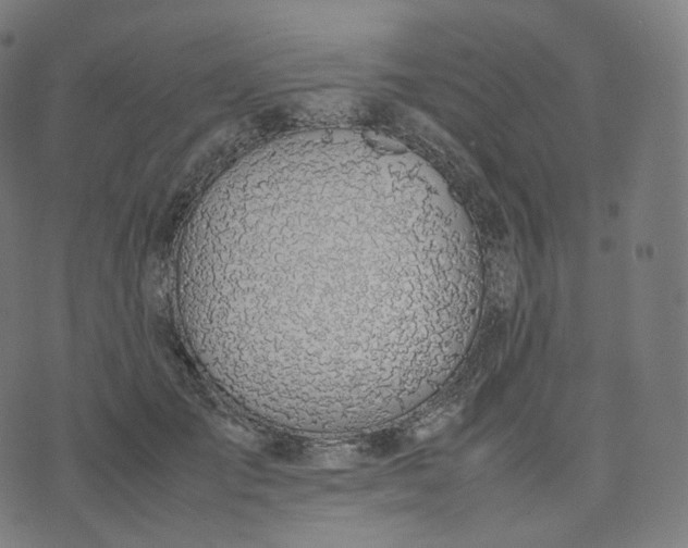 X0000070370701200606231647