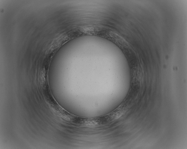 X0000070370702200606231647